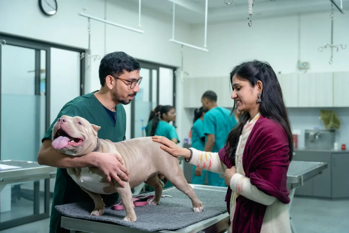 Propriétaire souriante caressant son chien tenu par le vétérinaire dans une clinique lumineuse